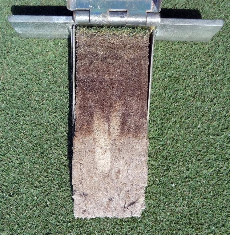 Concentrated organic matter reduces oxygen uptake by turfgrass roots and reduces water percolation through the rootzone.