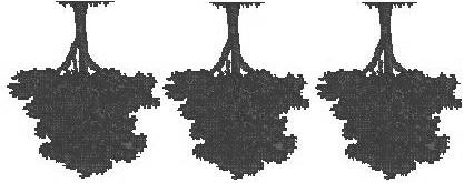 Tree or Groud? ISAR vs GPS C - Bad Wavelegth 5.6 cm Resolutio: 25 m Scatterig: reflected at the top of caopy. L Bad Wavelegth 23.5 cm Resolutio: 18 m Scatterig: able to peetrate through vegetatio.