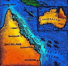 Fascinating Fact: The Great Barrier Reef World s largest coral reef Over 1257