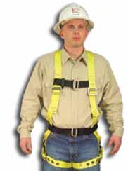 Full Body Harnesses 500 & 600 Series Specifications 500 Series The 500 Series is a favorite for maintenance and light construction.
