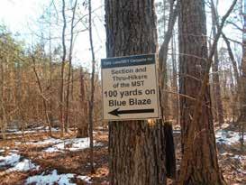 49 Mountains-to-Sea Trail Last Updated 1/1/2017 A sign directs long-distance hikers to a campsite.