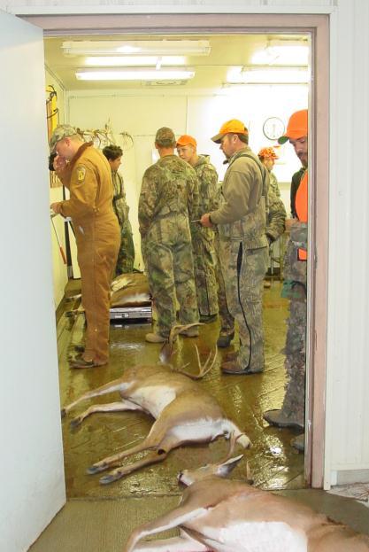 Fort Bragg Wildlife Hunting Safety, Regulation, and