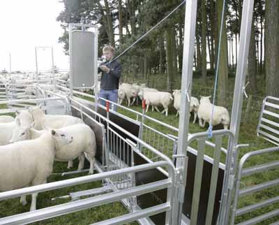 British design and engineering at its best Biosecure The flexible solution ALLIGATOR offers the flexibility you expect from a mobile sheep handling system - and more.