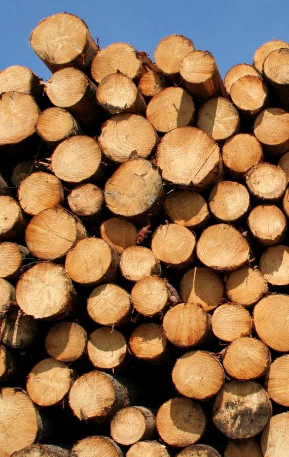 Outlook for the North American Softwood Lumber Industry North American Conference October