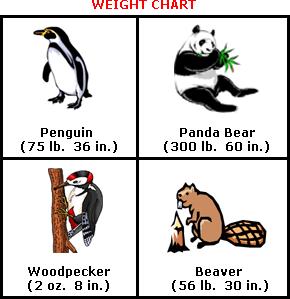 What is the difference in weight between the penguin and the beaver?