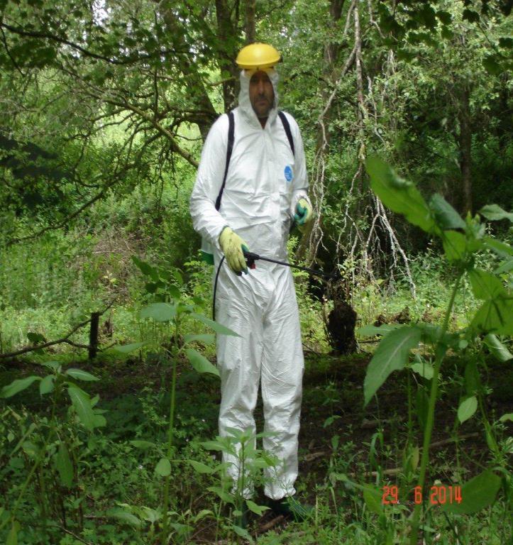 The surveys in 2012 primarily focussed on recording the distribution and abundance of Giant hogweed, Japanese knotweed and Himalayan balsam, however, if other INNS were present, their locations were