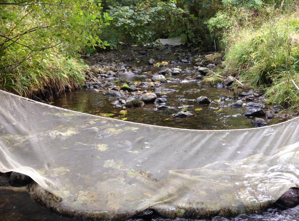 This information was gathered in response to the potential development of a hydroelectric scheme on the Gonachan burn.