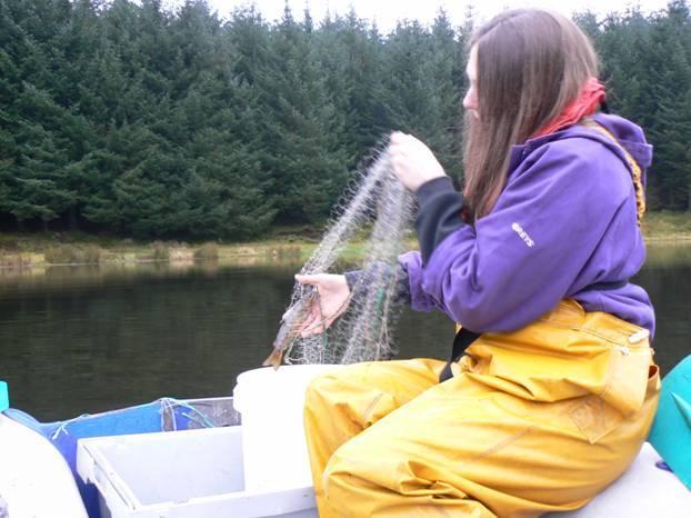 A major project was undertaken by LLFT in 2010 jointly funded by LLTNPA and SNH to conduct extensive fish surveys on three Trossachs lochs; Loch Venachar, Katrine and Achray, and Loch Eck in the
