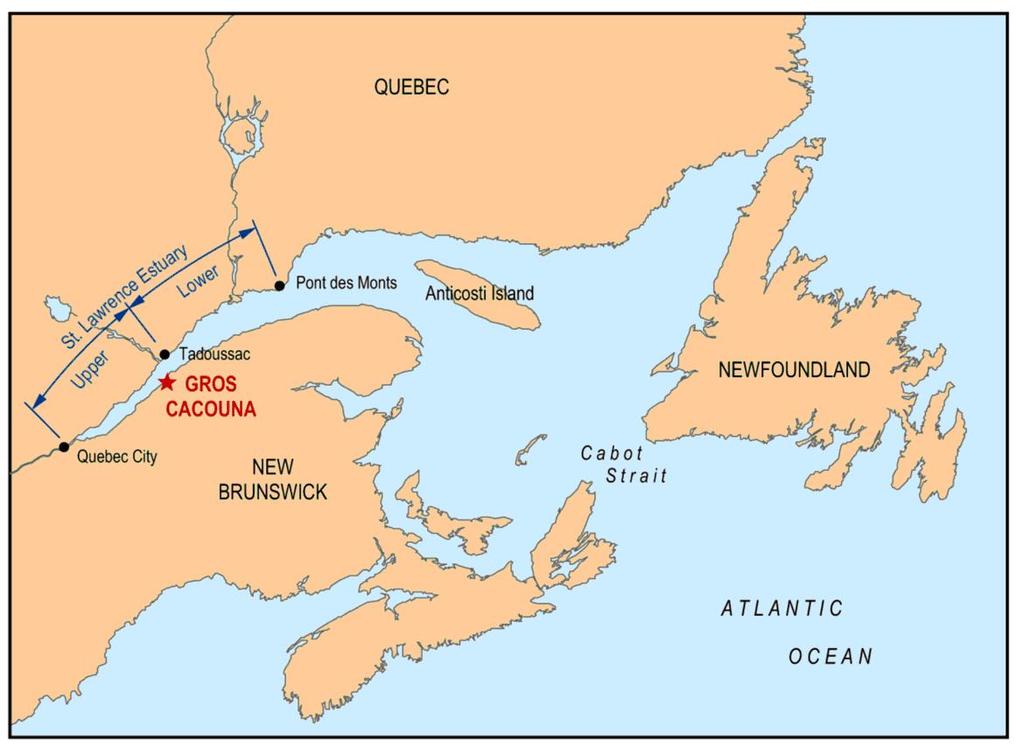 1 General Cacouna Energy, a joint venture between TransCanada and Petro Canada is planning to build and operate a Liquefied Natural Gas (LNG) receiving terminal at Gros-Cacouna on the south shore of