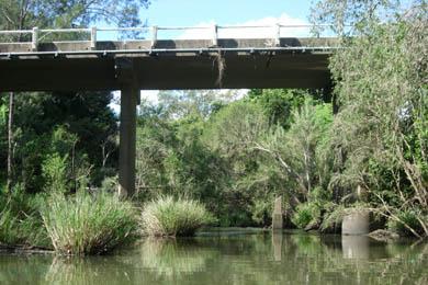 5 kilometres further on upstream the river goes under the Beaudesert Beenleigh Road bridge (where Vievers Road turns off).