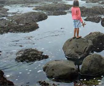 It is good to visit tide pools and learn about the creatures that live there. Some people study tide pools.