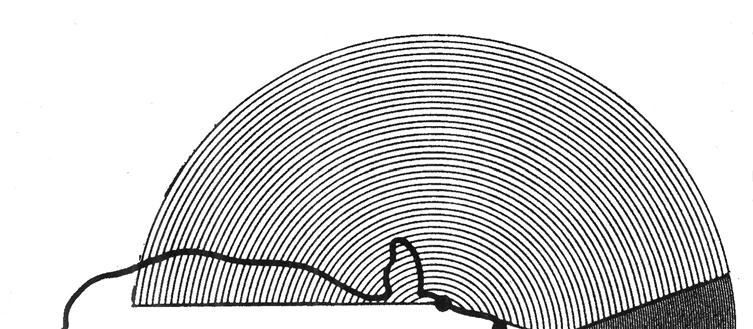 FIGURE 1: Cattle have panoramic vision. The area covered by the coarse concentric circles represents the animal s field of vision in which it has no depth perception.