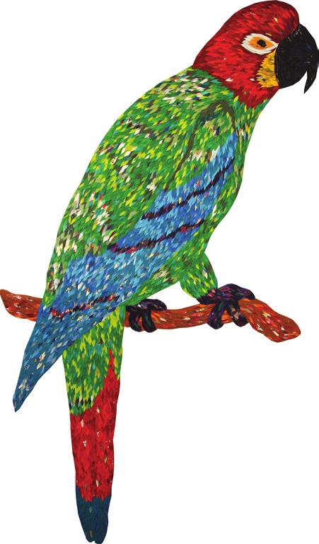 Unity (Jamaican Green and Yellow Macaw) 2013 183 x 192cm