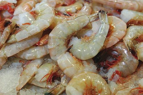 10 Inshore shrimp season dates are variable. The historical spring and fall seasons are managed by LDWF to correspond with shrimp life cycles, abundance and size.