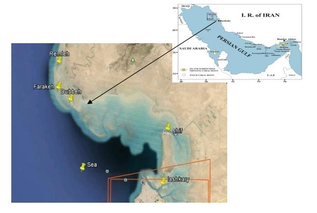 Iranian Journal of Fisheries Sciences 16(2) 2017 724 Figure 1:The sampling stations along the Bushehr Coastline - Northwest of the Persian Gulf.
