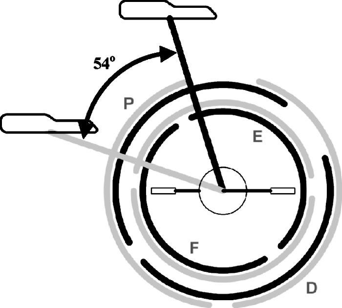 iact = 0 T a m dt 2 Fig. 1 The phase-controlled functional regions for the recumbent position gray and the upright position black.