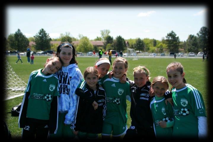 Welcome to Michigan State Youth Soccer Association, Inc.! The Michigan State Youth Soccer Association, Inc.