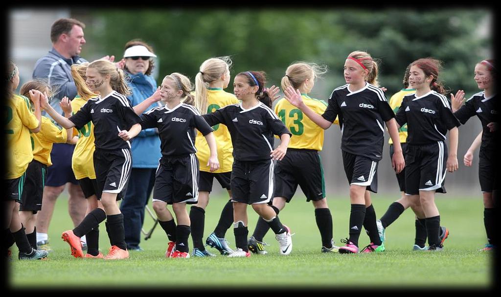 Michigan State Youth Soccer Association, Inc. Mission Statement MSYSA is committed to the principle of Leadership. We believe in Excellence, Communication, Respect, Teamwork, Integrity and Vision.