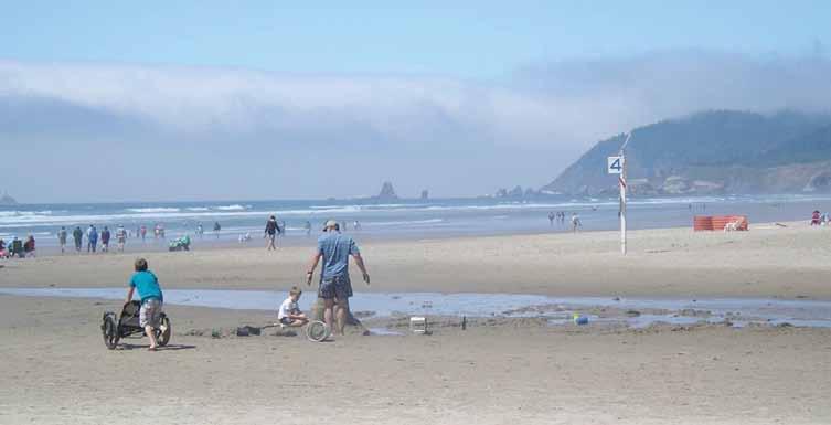 TesTing The waters State Highlights Many coastal states have worked hard and invested heavily in improving and preserving their beach water quality and protecting public health.