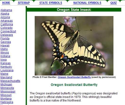 ACTIVITY 2: STATE YOUR INSECT http://www.