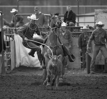 2013 Timed Event Horses of the Year Tie-Down Roping Horse of the Year Sid - owned by Dean Edge Stellar.