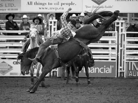 In his life-long stock-contracting career, Vold has produced many of the top rodeos in Canada. And he owns and raises some of the top bucking stock anywhere.