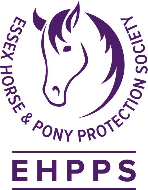 Most Appealing Mare/Gelding M&M Welsh C/D Arabs (Pure/Part/Anglo) & Foreign Breeds Junior Handler (7-11 years and 12-16 years) Senior Handler (17 years and Over) Class 10 Any Age Any Breed Class 11