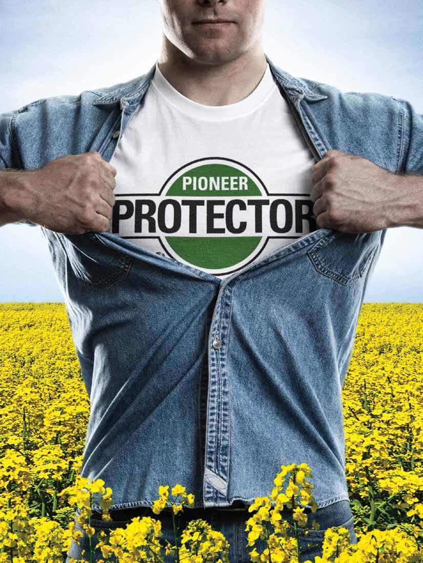 risk of pod shatter. PRIDE. PERFORMANCE. PROTECTION. To find out more, talk to your local Pioneer Hi-Bred sales representative or visit: pioneer.