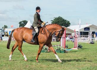 PRIZE LIST Horse & Pony Classes Closing Date for
