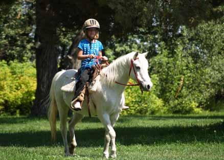 Snowflake ( Snowflake) Pony of the Americas 1/0 Mare, 1990 White 12 hh Snowflake is an adorable, sweet POA, who is a seasoned school pony.