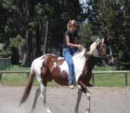 She has spent most of her life on the trails but is a great arena horse as well. Velvet has foaled 3 times and always throws beautifully colored foals.