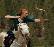 She neck reins, jumps and turns on a dime. She is also famous, having been featured on Myth Busters with her owner, Katie, for horseback archery!