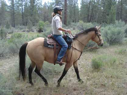 Smokey ( Smokey) Quarter Horse/TB (Appendix) 3/4 Gelding, 2002 Buckskin 16 hh Smokey is a big, stout boy. He is very well trained and has performed a lot of work on the ground.