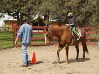 He can be as energetic or calm as you want in the arena or on the trail and is just delightful for any age or level of rider. Try his canter depart when you re ready!