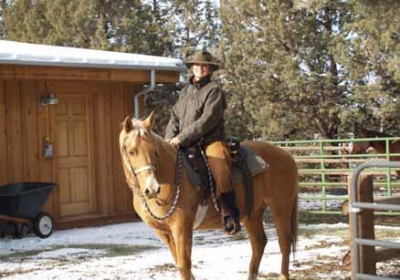 Honey ( Honey Girl) American Quarter Horse 1/2 Mare, 1988 Palomino Brand on le shoulder 15.1 hh Honey is a leased horse to FlySpur. She is owned by Marlie Gill who rides and shows her a bit.