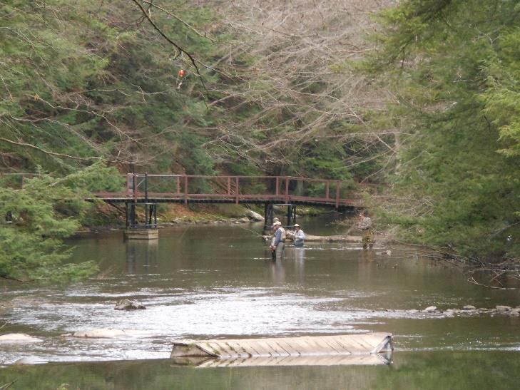 The Yellow Creek Trout Club is located just south of Indiana, Pennsylvania in Brush Valley, and is home to some of the area s largest brown and rainbow trout.