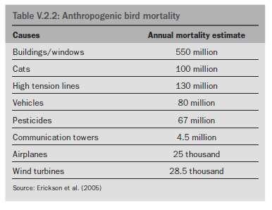 ENVIRONMENTAL EFFECTS: Birds