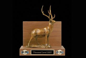 Design Your SCI World Hunting Award.