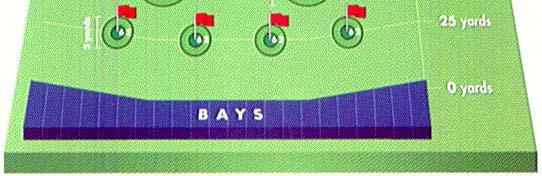 15.1.3 Top Chip Rules Top Chip is designed to improve a golfers short game.