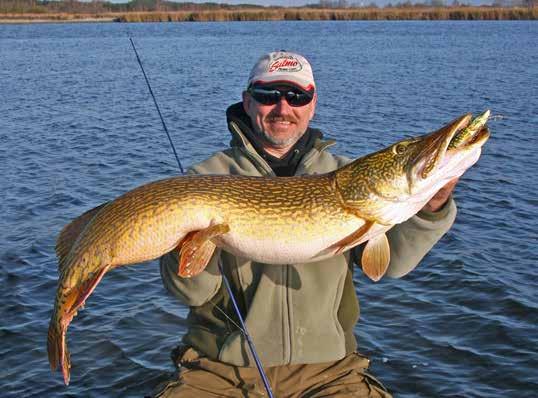 PIKE FLOATING / JOINTED It is common knowledge that pike are vicious cannibals and for many years lure manufacturers and
