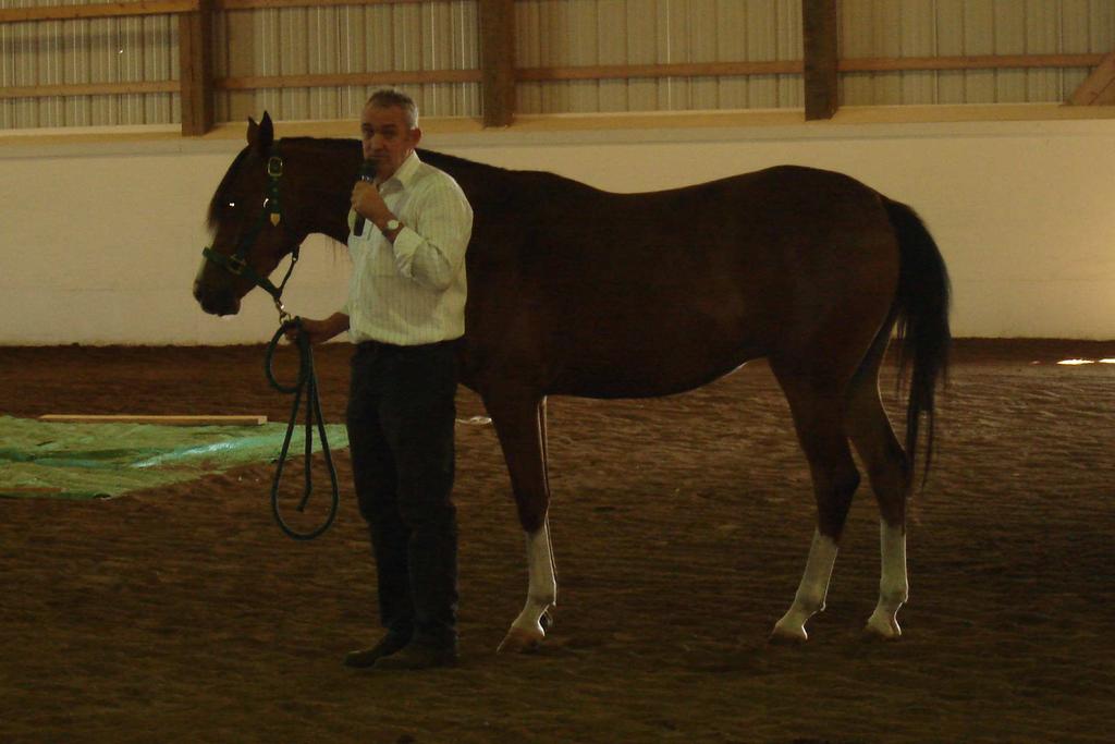 Concluding remarks on safe handling horses Very little is known scientifically on the best way to approach horses, and because the individual differences between horses no