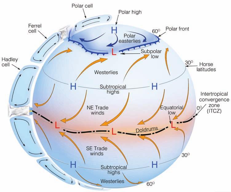 Global Winds 195 into huge cumulus clouds and thunderstorms that liberate an enormous amount of latent heat. This heat makes the air more buoyant and provides energy to drive the Hadley cell.