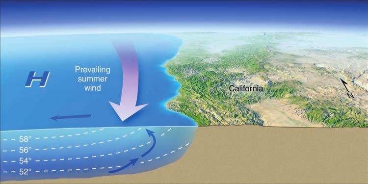 As the wind blows over the ocean, the surface water beneath it is set in motion. As the surface water moves, it bends slightly to its right due to the Coriolis effect.