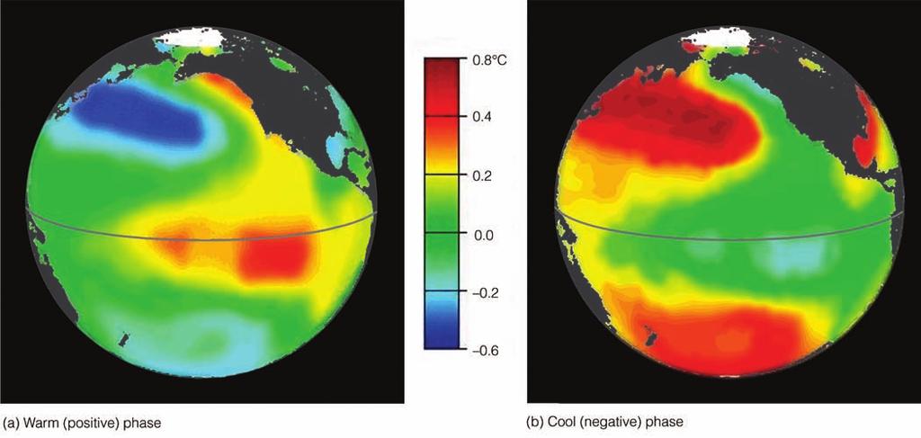 Global Wind Patterns and the Oceans 209 FIGURE 7.41 Typical winter sea surface temperature departure from normal in C during the Pacific Decadal Oscillation s warm phase (a) and cool phase (b).
