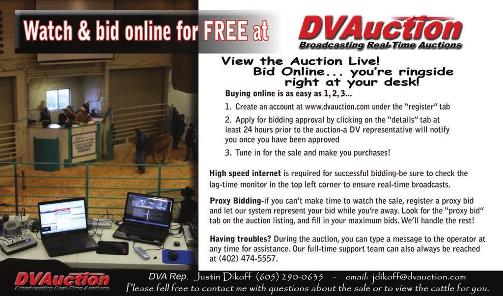 Many of these bulls are suitable to use on heifers. For those of you that can t make it to the sale, you ll be able to watch & bid on DVAuction.com.
