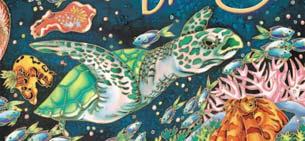 Each sea creature depicted in the book is active at night on the reef. The text presents facts about the animal and looks at the human impact on the reef and its future.