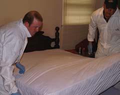 home is properly prepared before the treatment Do get a mattress cover for your mattress and box spring