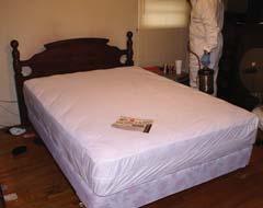 socialinterloper stained mattress on the street Don t panic: bed bugs are very annoying and stressful, but not a