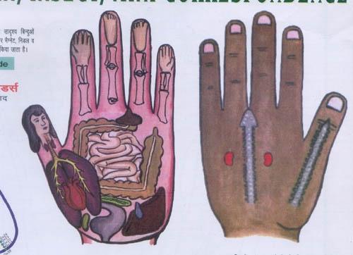Sujok Acupressure It is thus possible to practice acupressure solely on the hands or feet.