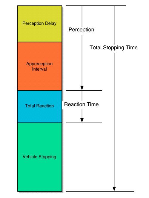 Perception and Reaction Times